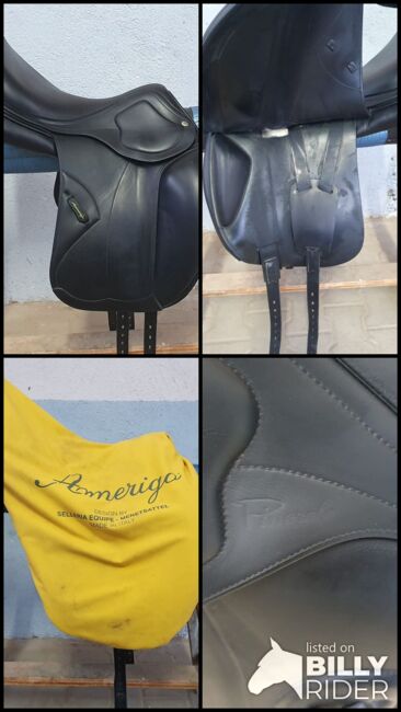 Amerigo Dressursattel Classic Dressage Pinerolo, Amerigo  Classic Dressage Pinerolo , Jacqueline Herrmann, Dressage Saddle, Heilbronn , Image 18