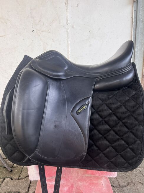 Amerigo Dressursattel zu verkaufen, Amerigo Classic , Scarlet Giesse, Dressage Saddle, Walldorf , Image 3