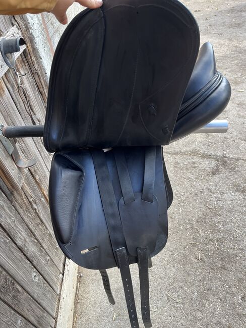 Amerigo Dressursattel Pinerolo 17,5, Amerigo Classic , Rebecca, Dressage Saddle, Ravensburg , Image 2