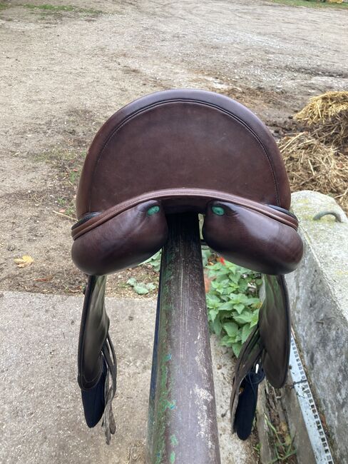 Amerigo Dressursattel Cervia 17“ braun, Amerigo Cervia, Anna, Dressage Saddle, Maria Jeutendorf, Image 6