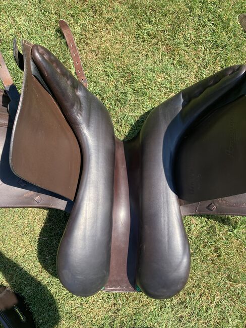 Amerigo Dressursattel, Sitz 18, kurzes Blatt, Amerigo  Pinerolo, Christina Amstutz , Dressage Saddle, Hildisrieden , Image 7