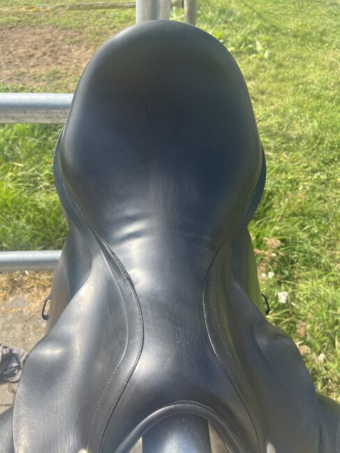 Amerigo Dressursattel 17,5, Amerigo , Lia , Dressage Saddle, Leingarten , Image 7