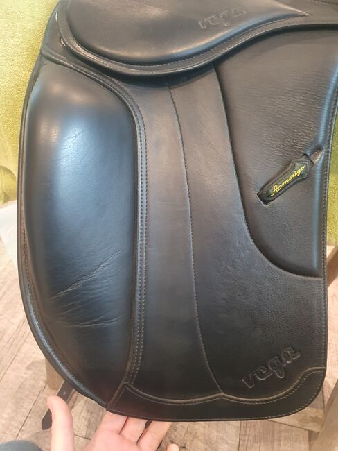 Amerigo Dressursattel, Vega, Amerigo Vega, Christiane, Dressage Saddle, Wurzen, Image 6