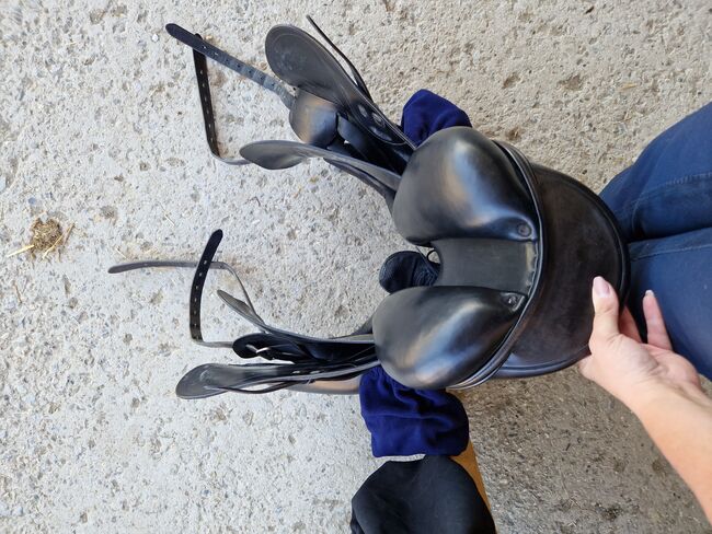 Amerigo Dressursattel 18 Zoll, Amerigo  Pinerolo , Angela, Dressage Saddle, Künzelsau, Image 3