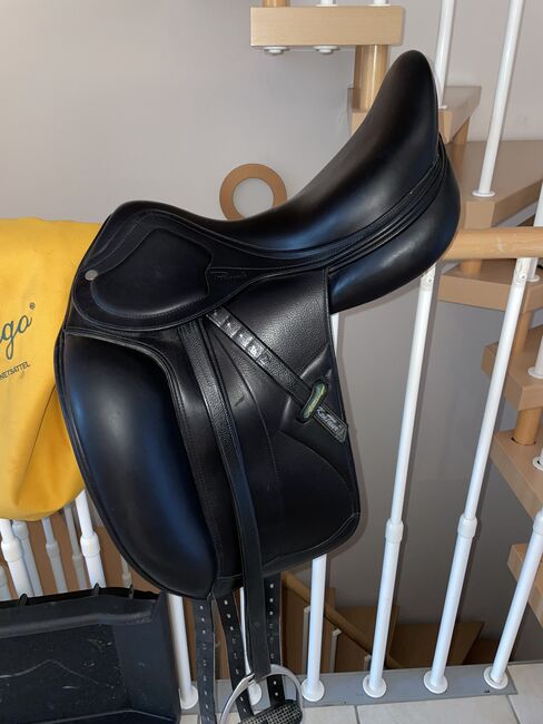 Amerigo Dressursattel, Amerigo  Pinerolo , Sophie Altmann , Dressage Saddle, Dossenheim , Image 2