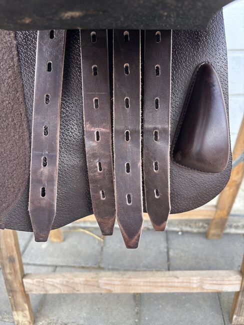 Neuwertiger Amerigo Springsattel, Amerigo Basso, N.Gaum, Jumping Saddle, Neufra, Image 3