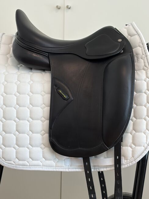Amerigo Pasubio 17,5“, Amerigo Pasubio, Sabine W, Dressursattel, Königstein