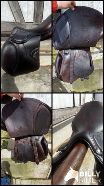 Amerigo Pinerolo 17,5 dunkelbraun, Amerigo , Alika , Jumping Saddle, Image 6