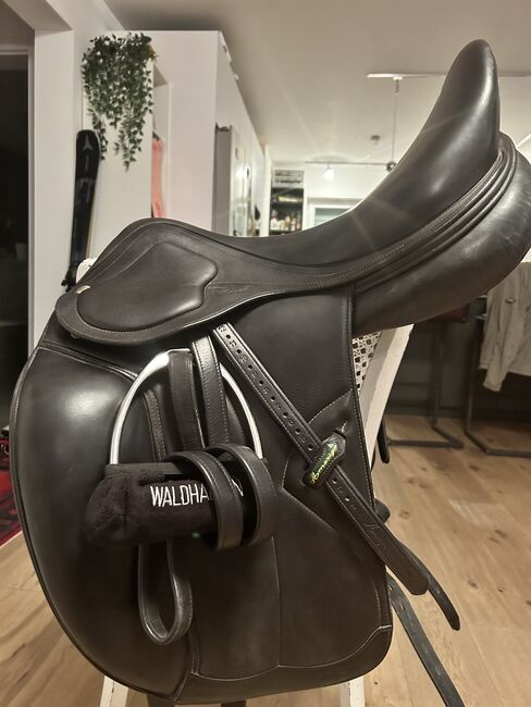 Amerigo Pinerolo 17,5 Zoll, Amerigo Pinerolo, Tanja, Dressage Saddle, Münster