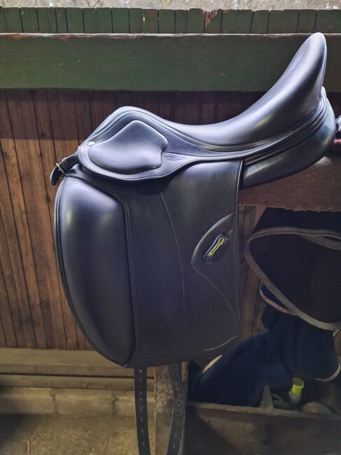 Amerigo Pinerolo Dressursattel, Amerigo  Pinerolo, Sarah , Dressursattel, Munster 