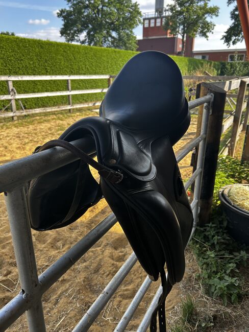 Amerigo pinerolo Dressursattel, Amerigo  Pinerolo, Michelle , Dressage Saddle, Lienen