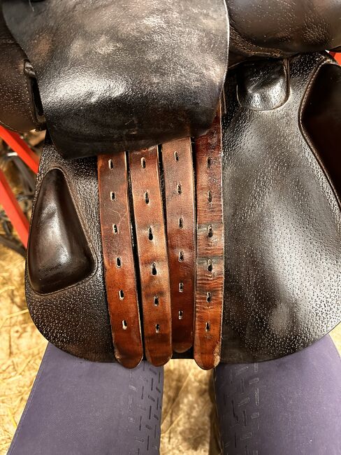 Amerigo Pinerolo, Amerigo Pinerolo , Kerstin Engel, Jumping Saddle, Schörfling , Image 4