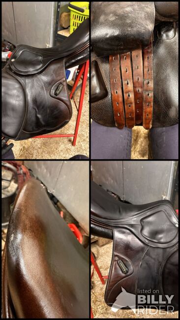 Amerigo Pinerolo, Amerigo Pinerolo , Kerstin Engel, Jumping Saddle, Schörfling , Image 8