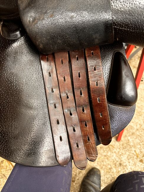 Amerigo Pinerolo, Amerigo Pinerolo , Kerstin Engel, Jumping Saddle, Schörfling , Image 5
