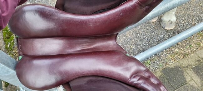 Amerigo Spring-Sattel 17.5", Amerigo, Rahel, All Purpose Saddle, Untervaz, Image 3