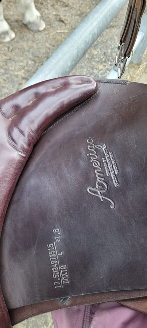 Amerigo Spring-Sattel 17.5", Amerigo, Rahel, All Purpose Saddle, Untervaz, Image 4