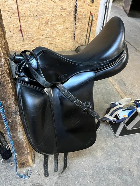 Amerigo Vega Dressursattel - 17 Zoll, Amerigo Vega, Isa, Dressage Saddle, Gordemitz