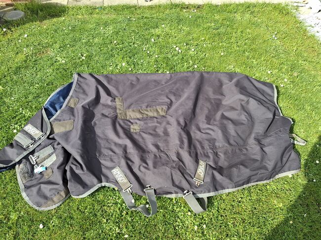 Amigo Decke, Amigo , Privat , Horse Blankets, Sheets & Coolers, Münzenberg 