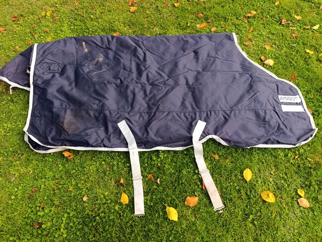 Amigo Horseware Bravo 12 Turnout Winterdecke, Amigo Horseware  Amigo Bravo 12 Turnout , Karin, Horse Blankets, Sheets & Coolers, Schermbeck
