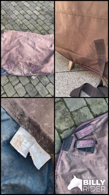 Amigo Horsewear Decke Regendecke Winterdecke 155 50g, Amigo, Malena , Horse Blankets, Sheets & Coolers, Bottrop, Image 8