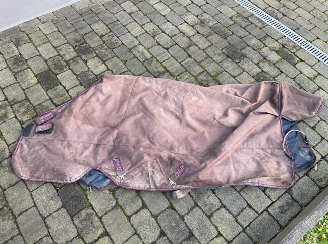 Amigo Horsewear Decke Regendecke Winterdecke 155 50g, Amigo, Malena , Horse Blankets, Sheets & Coolers, Bottrop