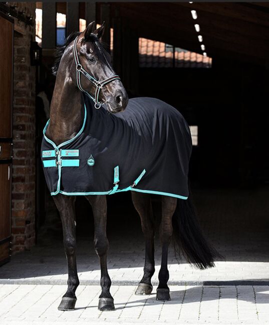 Amigo Stable Sheet 0g, Gr. 145cm, Amigo, Vera Haas, Horse Blankets, Sheets & Coolers, Donaueschingen