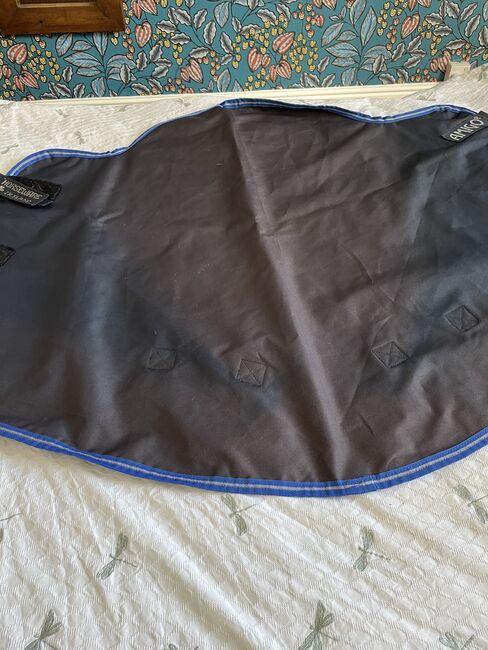 Amigo Turn out Neck Cover 6 ft 3, Amigo, Jeanette Alison Caw, Horse Blankets, Sheets & Coolers, Sheffield, Image 5