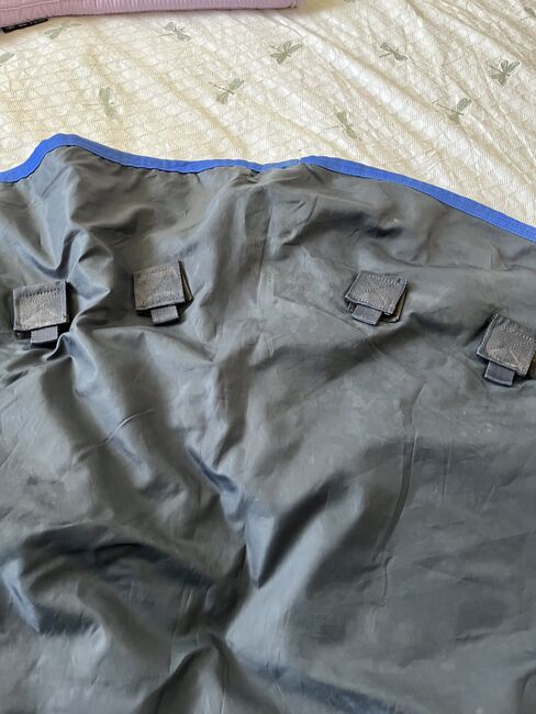 Amigo Turn out Neck Cover 6 ft 3, Amigo, Jeanette Alison Caw, Pferdedecken, Sheffield, Abbildung 3