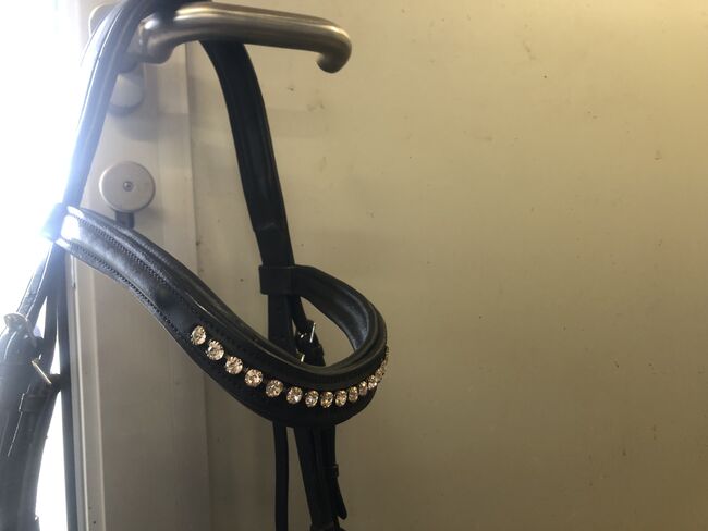 Zaum Anatomic Crystal, HKM, Deborah, Bitless Bridles, Luzern, Image 6