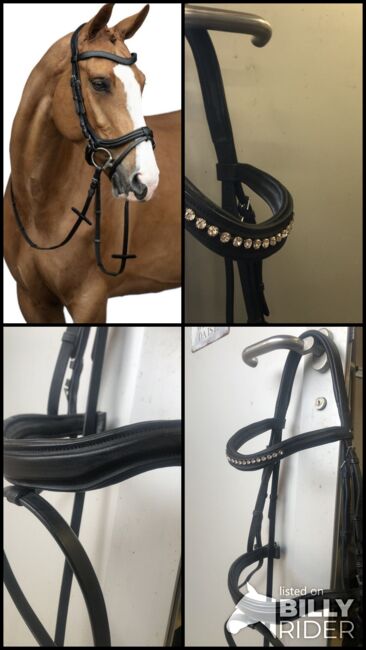 Zaum Anatomic Crystal, HKM, Deborah, Bitless Bridles, Luzern, Image 7
