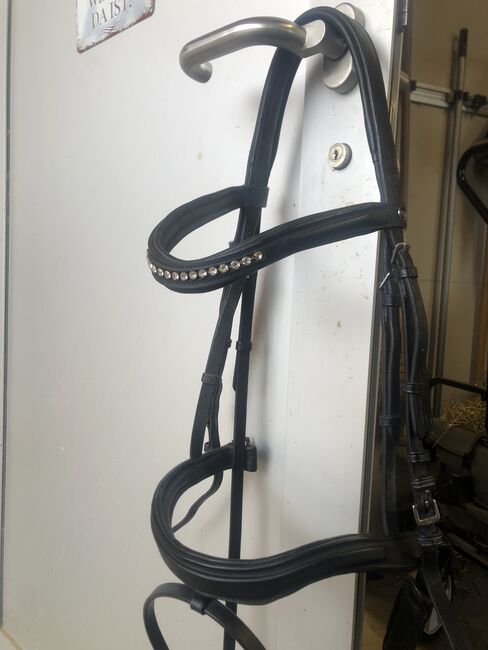 Zaum Anatomic Crystal, HKM, Deborah, Bitless Bridles, Luzern, Image 4