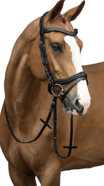 Zaum Anatomic Crystal, HKM, Deborah, Bitless Bridles, Luzern