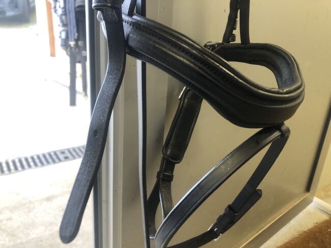 Zaum Anatomic Crystal, HKM, Deborah, Bitless Bridles, Luzern, Image 5