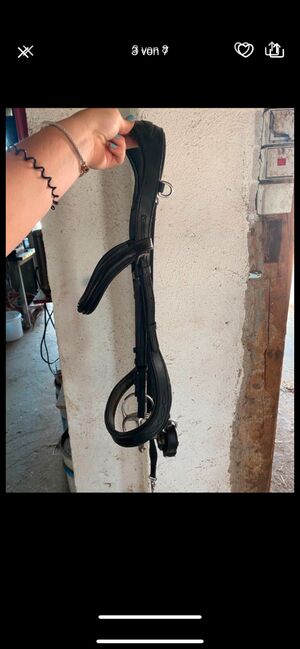Anatomische Trense, TT, Bridles & Headstalls, Gerabronn, Image 3