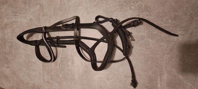 Anatomische Trense von Ascot, Ascot Anatomische Trense, Jenny Richter, Bridles & Headstalls, Clausthal-Zellerfeld