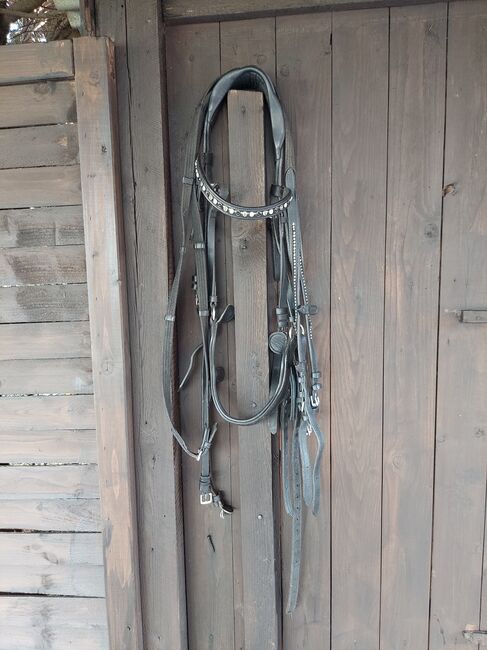 Anatomischgeformte Trense mit Zügel, Caro, Bridles & Headstalls, Barßel