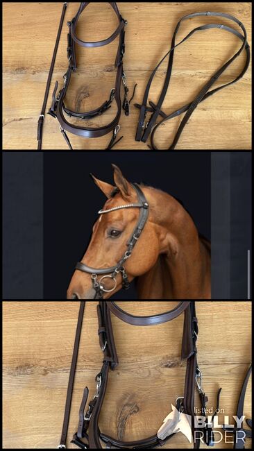 Anatomische Trense Faysport Presteq, Faysport Presteq Bridle, Sarah , Nachrapniki, Hiddenhausen , Image 4