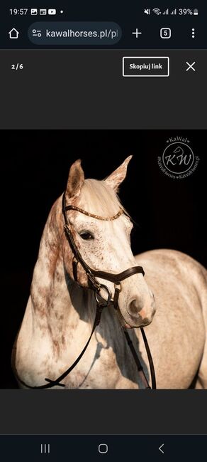 Anatomische Trense Braun, Kawal, Marika Staszczyk, Bridles & Headstalls, Lastrup