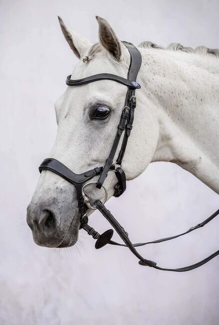 Anatomische/Hannoveranische Trense von Felix Bühler in Full/WB, Felix Bühler, Jasmina, Bridles & Headstalls, Zarpen, Image 3