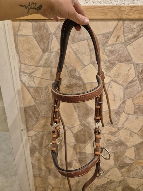 Anatomic Sidepull "COB", Profi Tack, Jenny, Bitless Bridles, Schweinfurt