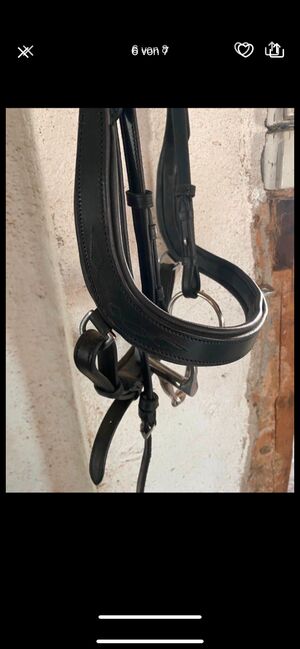 Anatomische Trense, TT, Bridles & Headstalls, Gerabronn, Image 6