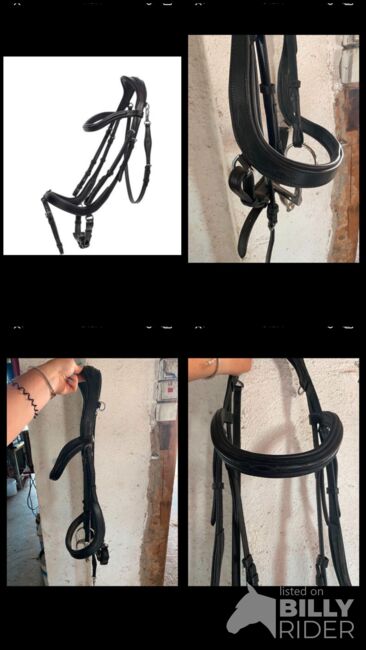 Anatomische Trense, TT, Bridles & Headstalls, Gerabronn, Image 7