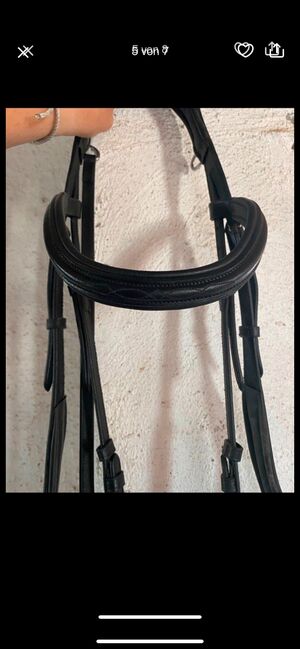 Anatomische Trense, TT, Bridles & Headstalls, Gerabronn, Image 5