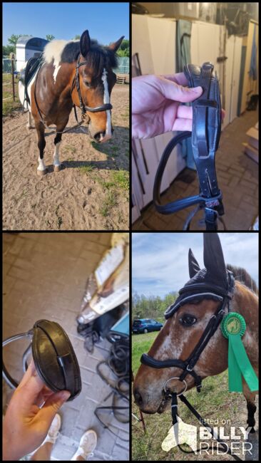 Anatomische Trense, Carolin Ehrlich, Bridles & Headstalls, Vetschau, Image 8