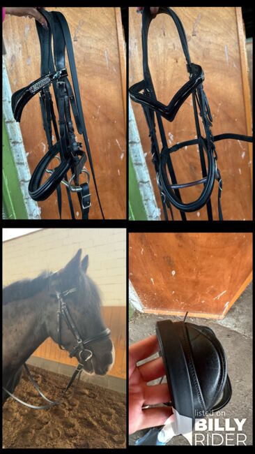 Anatomische Trense Cob, HKM, Melissa Baldin, Bridles & Headstalls, Geesthacht , Image 6