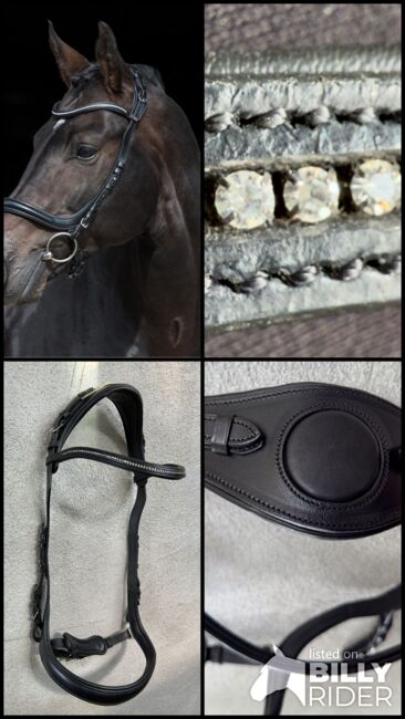 Anatomische Trense (Größe WB) NEU, Clarington House Free Ontario, Silke, Bridles & Headstalls, Frankfurt , Image 7