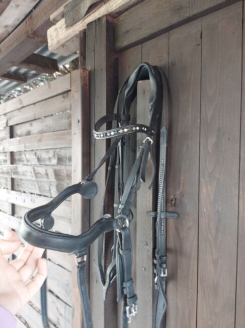 Anatomischgeformte Trense mit Zügel, Caro, Bridles & Headstalls, Barßel