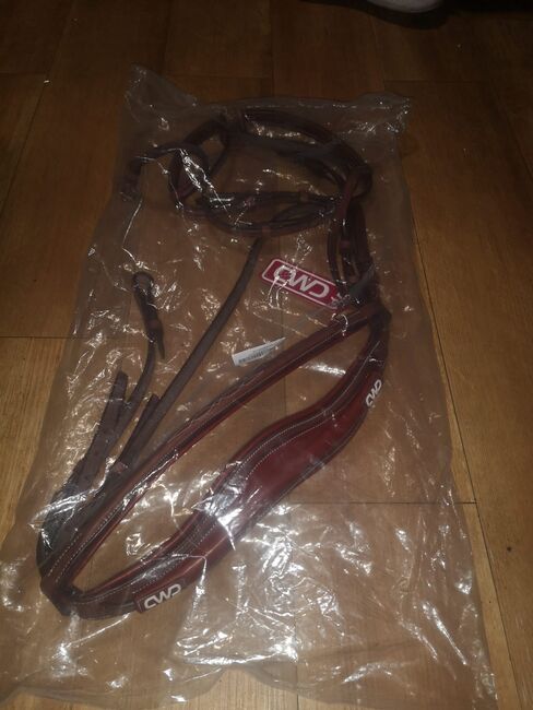 Anatomischer Trensenzaum mit englischem Reithalfter, CWD Anatomischer Trensenzaum mit englischem Reithalfter, Harry, Bridles & Headstalls, Lübbecke 