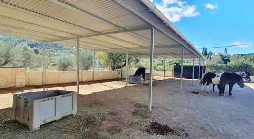 Andalusien, Provinz Málaga, 29110 Monda - Haus mit Pool + Pferdehaltung zu verkaufen, Sabine Wesseln, Maras World of Horses (Maras World of Horses, Maras World Solutions S.L.), Equestrian Properties, Monda, Image 3