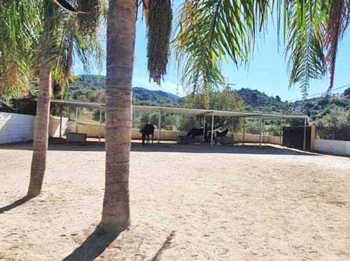 Andalusien, Provinz Málaga, 29110 Monda - Haus mit Pool + Pferdehaltung zu verkaufen, Sabine Wesseln, Maras World of Horses (Maras World of Horses, Maras World Solutions S.L.), Equestrian Properties, Monda, Image 4